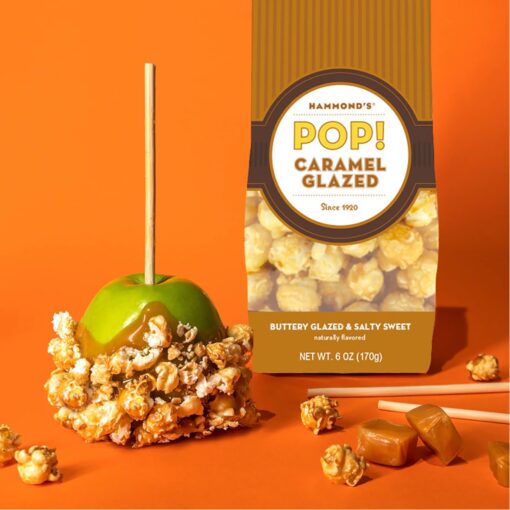 Endless Poppabilities Gourmet Popcorn - Lt. Brown-Caramel-4