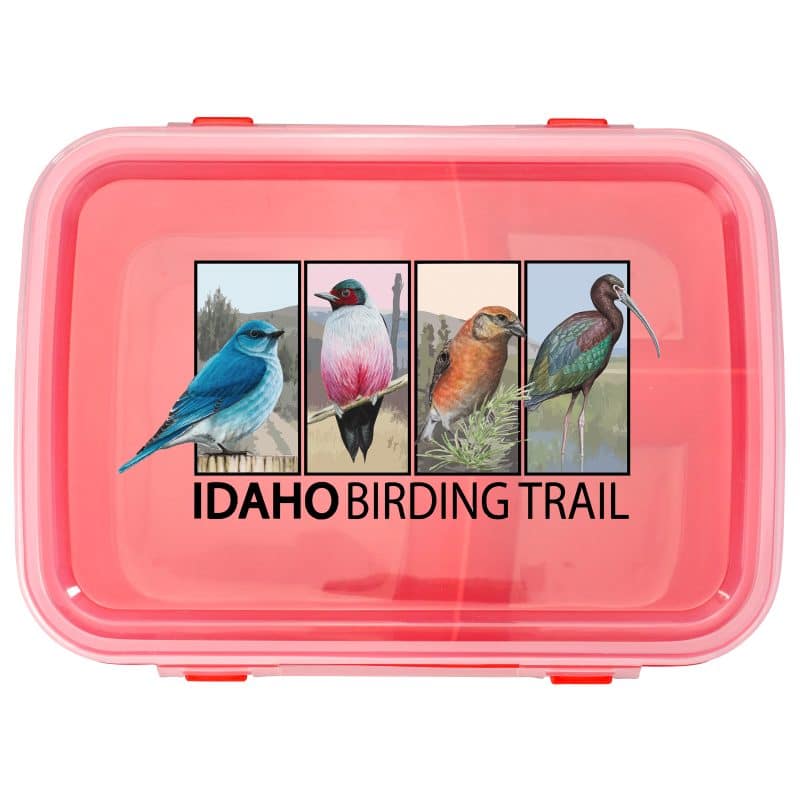 Custom Full Color Lunch To Go Container with your company logo - 4